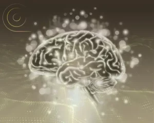 Lire la suite à propos de l’article Neurosciences et spiritualité : une alliance féconde